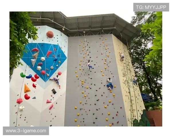 上海攀岩队状态分析与训练成果探讨攀岩运动的未来发展方向